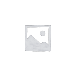 SAFe® Scrum Master